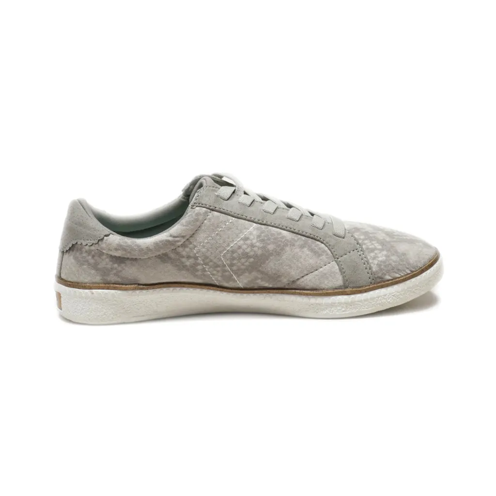 Dr. Scholl'S Lace Ups Fabric Grey Colour For Women